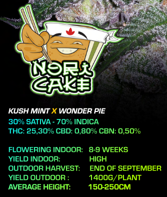 Nori Cake - Cannabis Seeds - WWW.SEEDS-BANK.CZ